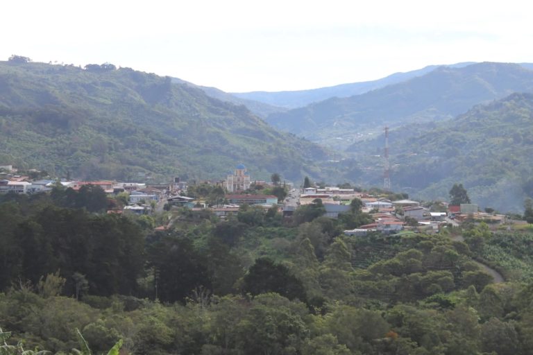 Juzgado ordena restaurar bosque afectado por cultivo de café en tres fincas de Tarrazú