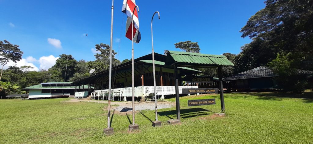 Parque Nacional Corcovado restablece aforo de 366 personas diarias en la Estación Biológica Sirena
