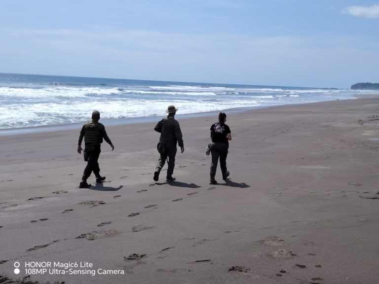 Cinco detenidos durante controles por arribada de tortugas lora en Ostional