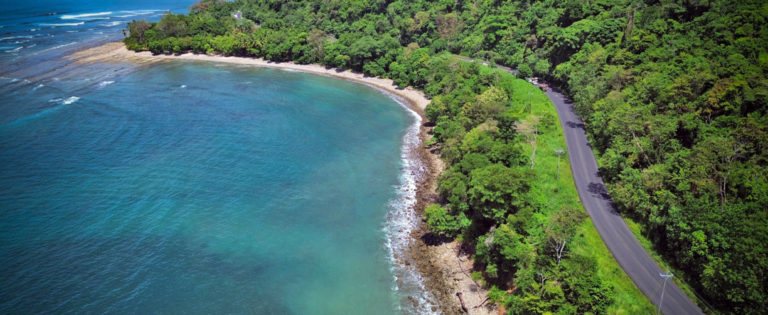Instalan puentes de cuerda para reducir atropellos de fauna en tramo entre Dominical y Uvita