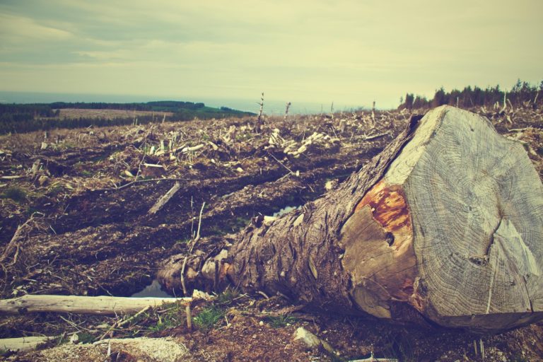 Crímenes de lesa natura