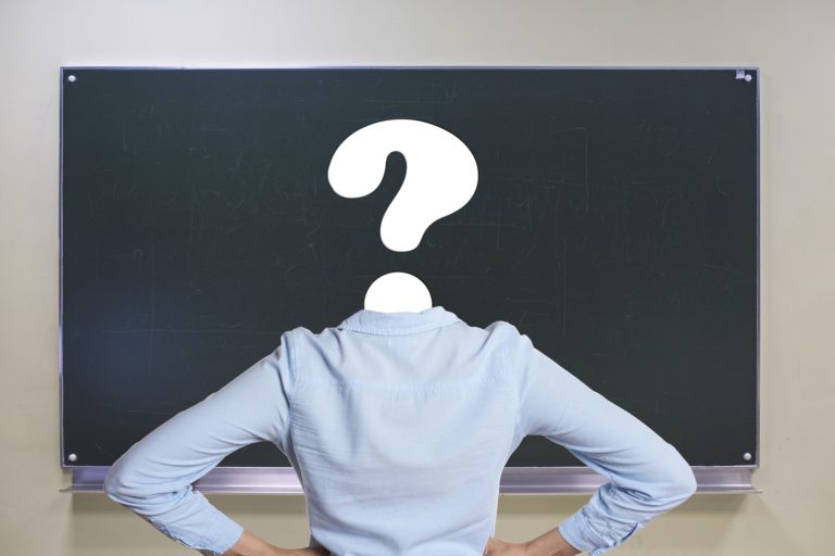 ¿Quién acompaña al docente?