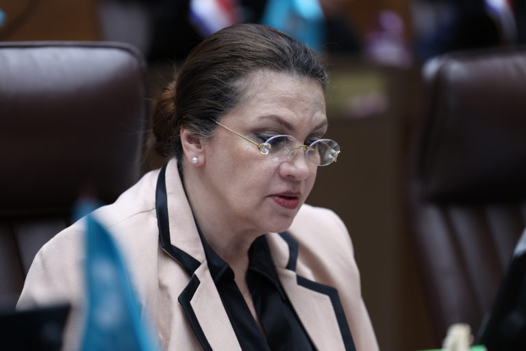 Diputada oficialista propone elevar penas por instigación pública y penar la sedición