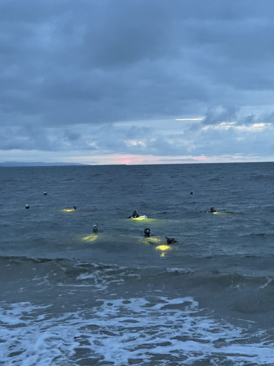 Imagen principal del artículo: Investigadores logran criar larvas de coral por primera vez en Costa Rica