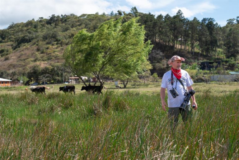 42 organizaciones denuncian amenazas contra ambientalista que defiende el humedal de Coris