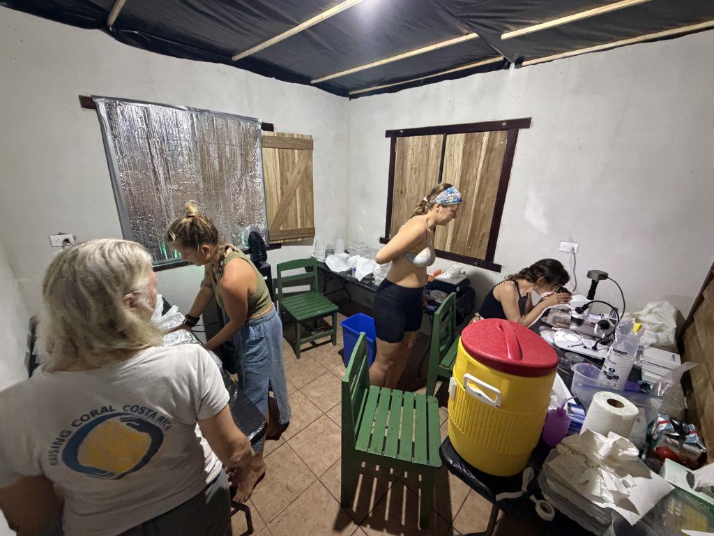 Investigadores en el centro de visitantes del Refugio Nacional Gandoca-Manzanillo, que sirvió como laboratorio temporal.