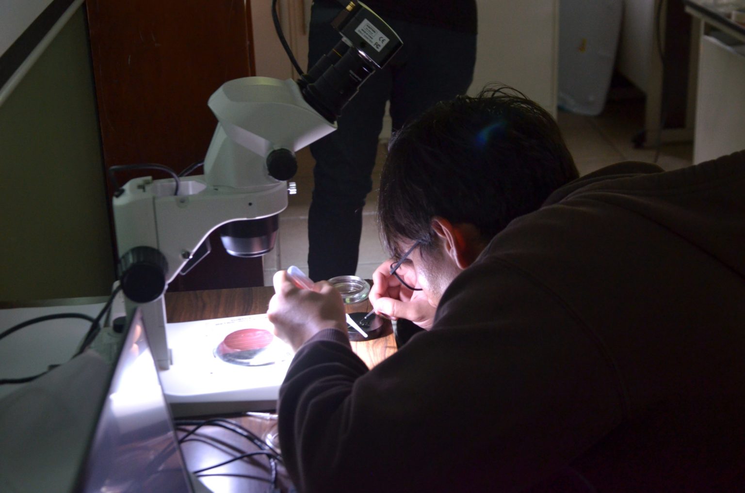 Imagen principal del artículo: Fecop y UCR promueven el estudio de las primeras etapas de vida de peces para fortalecer su conservación