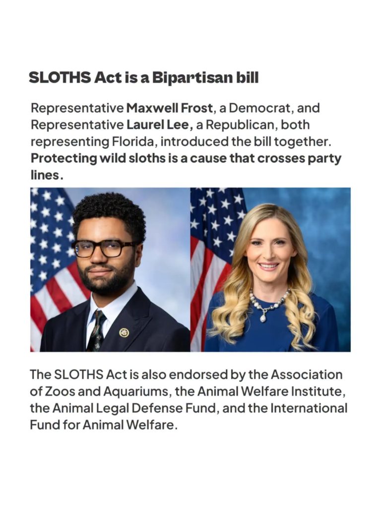 Los congresistas estadounidenses Maxwell Alejandro Frost, del Partido Demócrata, y Laurel M. Lee, del Partido Republicano, presentaron conjuntamente la SLOTHS Act, una iniciativa bipartidista que busca prohibir la importación de perezosos a Estados Unidos para frenar su captura y comercialización. Fotografía: Sloth Protection Alliance.