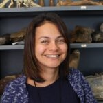 Foto de perfil de María Isabel Sandoval, autor del artículo