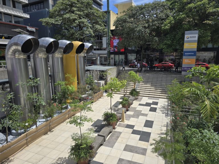“Bosque prestado” ya transforma la entrada de los Museos del Banco Central y celebrará su apertura con música
