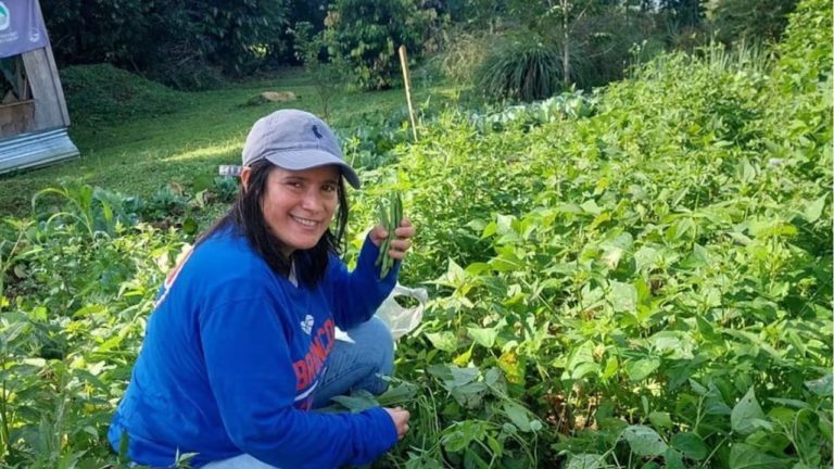 La persistencia de la golondrina: soberanía alimentaria y desprogramación agroindustrial