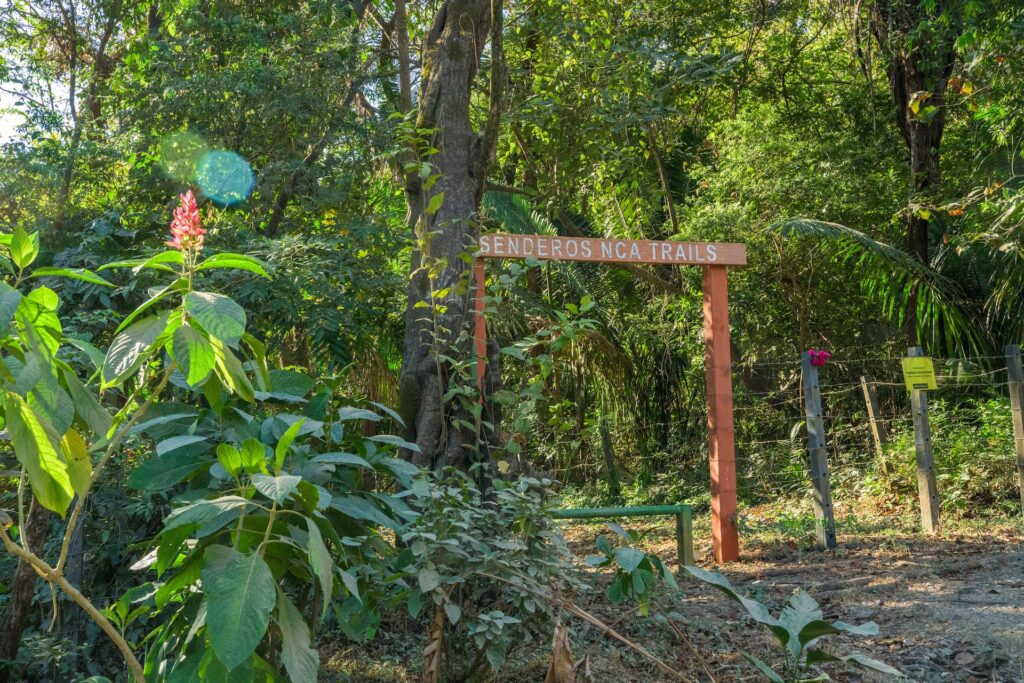 Nosara consolida red gratuita de 18 kilómetros de senderos en áreas de conservación
