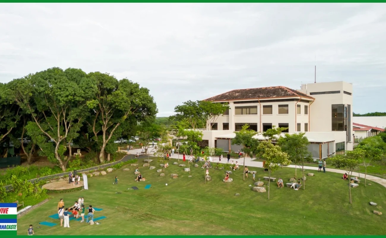 Imagen principal del artículo: Proyecto cultural "Baile a Tierra" llevará música, naturaleza y juego a Guanacaste