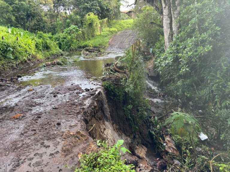 Vecinos de Cartago recolectan firmas para exigir intervención de la ruta en sector entre La Puente y Cipreses