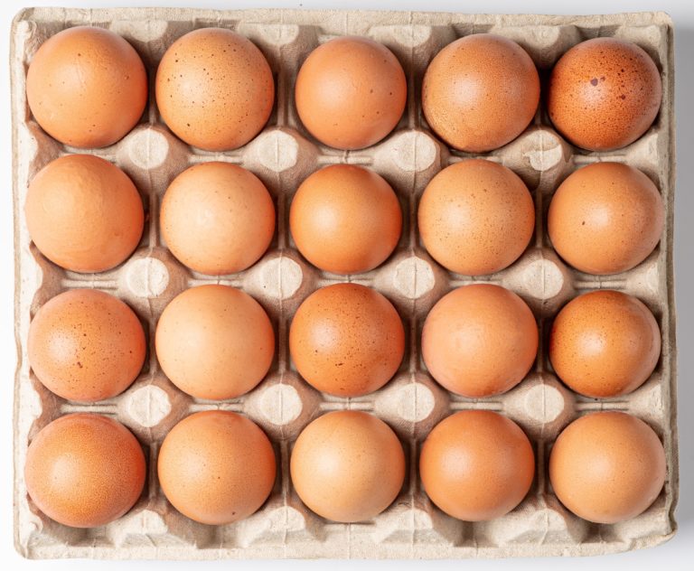 Día Mundial del Huevo dejará donación de cerca de 63000 huevos para familias en vulnerabilidad