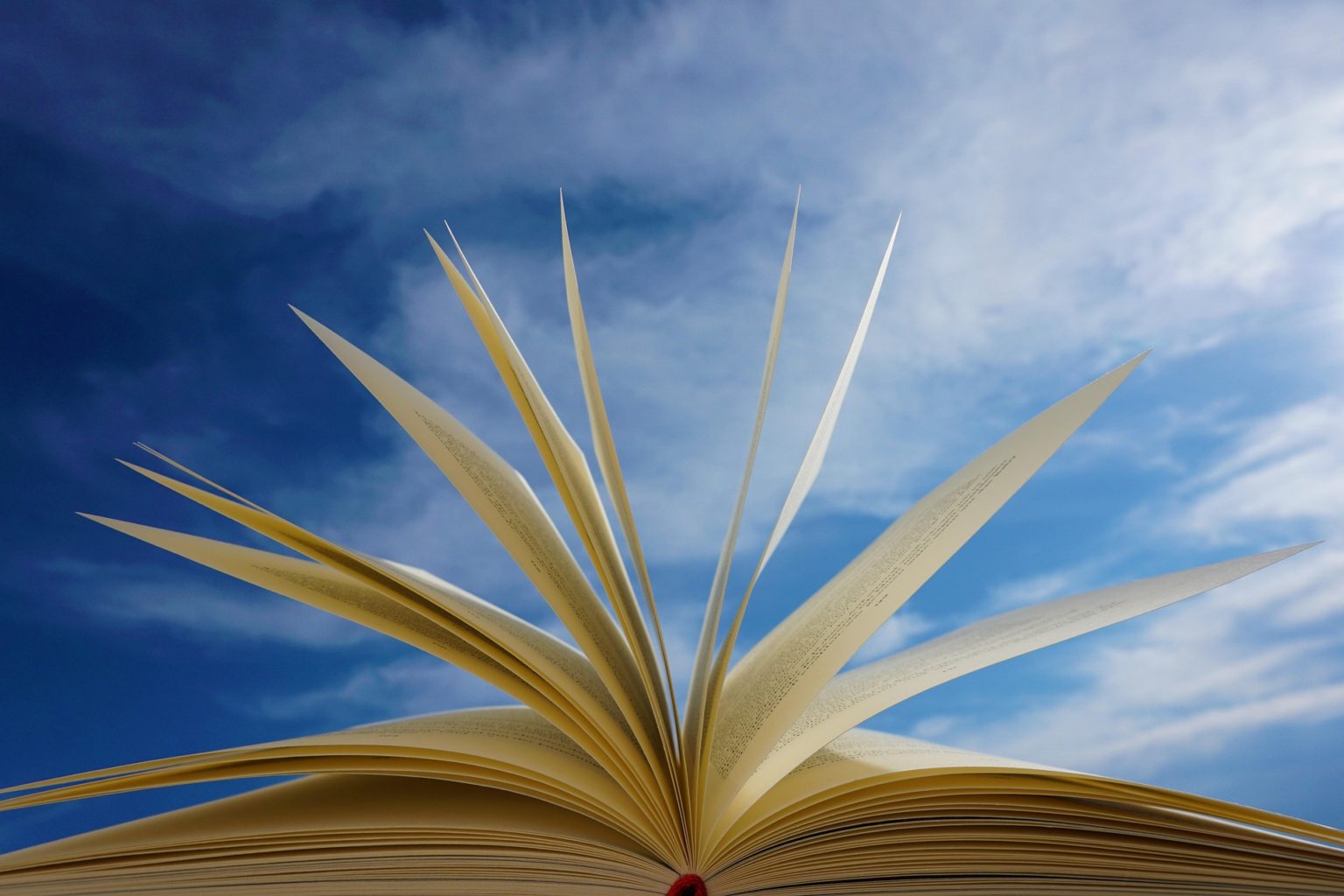 Imagen principal del artículo: El superpoder de la lectura