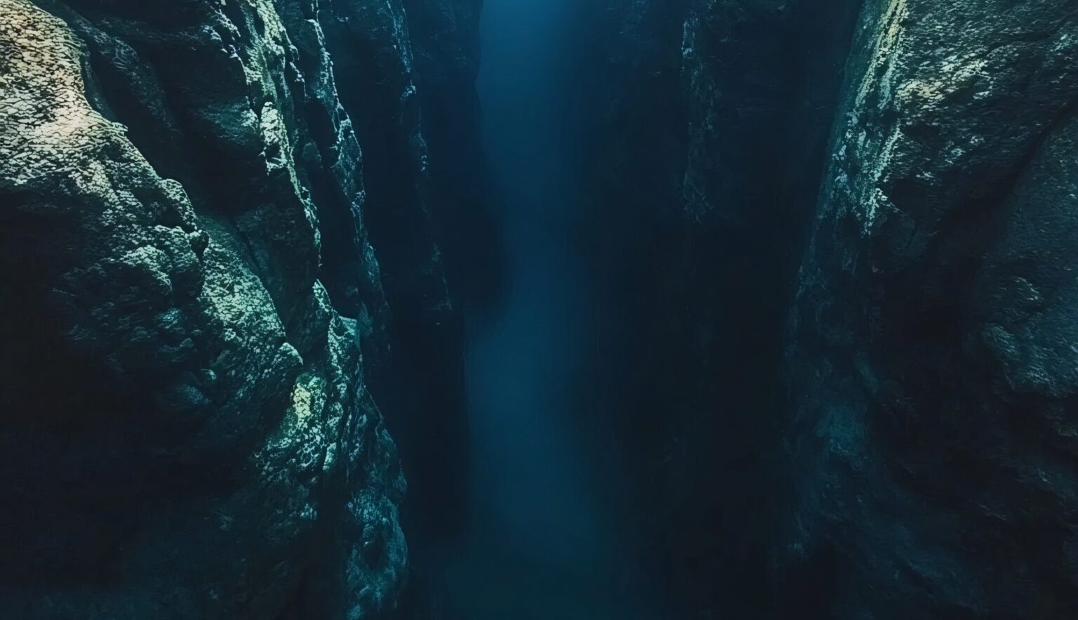Imagen principal del artículo: Fósiles de la Costa Rica desconocida: el fondo oceánico